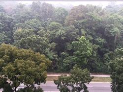 Blk 315 Bukit Batok Street 32 (Bukit Batok), HDB 5 Rooms #92609142